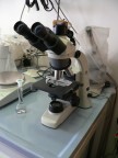 Microscope