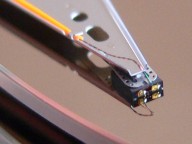 Macro Photo