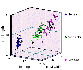 Iris 3D, column centering, G.Visco