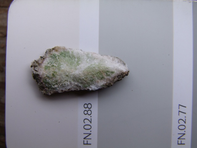 prelievo4b