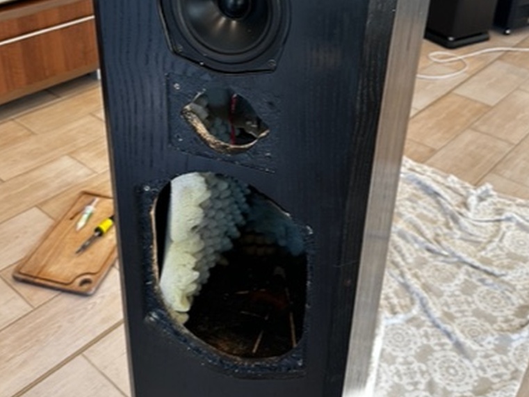 The TDL binding post